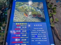 -合肥海洋世界