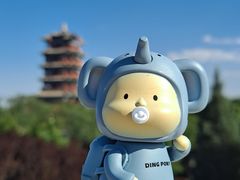 -永定河休闲森林公园