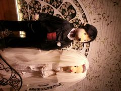 android_upload_pic-济州岛泰迪熊博物馆