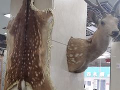 -乔家满族八大碗(流水沟店)