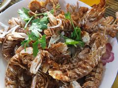 皮皮虾-人和啤酒屋海鲜大排档(营口路店)