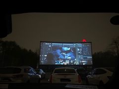 -枫花园汽车电影院(朝阳公园店)