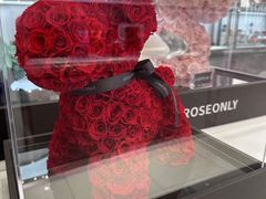 -ROSEONLY诺誓(广州K11店)