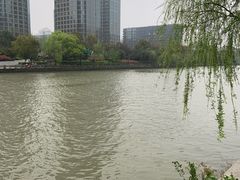 -运河游船(武林门码头)