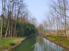 -桤木河湿地公园