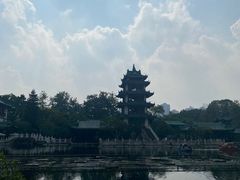 -桂湖森林公园