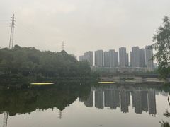 -重庆彩云湖湿地公园