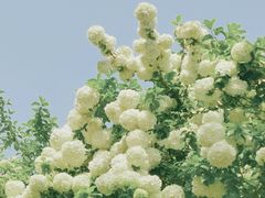 -渤公岛生态公园