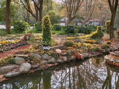 -上海共青森林公园