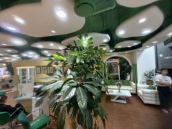 -艺米阳光Hair Salon