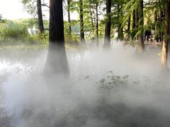 -东湖落雁景区