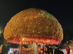 -大同方特欢乐世界