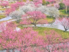 -花开海上生态园