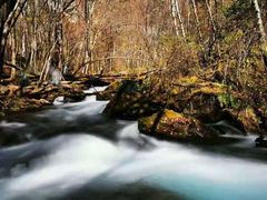 -叠溪松坪沟景区