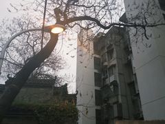 -颐而康按摩(八一桥总店)