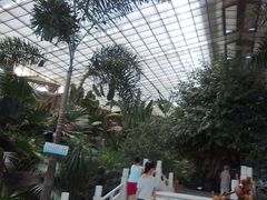 -绿色时代大酒店