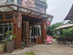 -一棵树·意大利西餐厅One Tree(新城店)