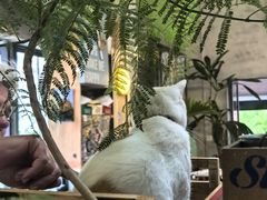 -nodcafe(M50创意园店)