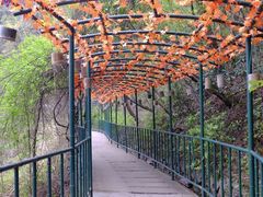 -溪口-滕头旅游景区