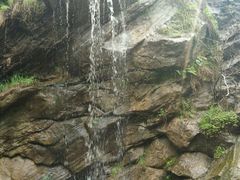 -少华山国家森林公园