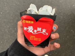-海底捞火锅(团结桥店)