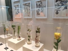 -广东中医药博物馆
