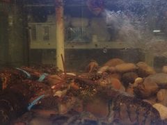 -百佳永辉超市(东城万达店)