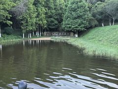 -厦门国家会计学院