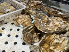 -潮庭·大连海鲜·炭火烧烤·扇贝王(大连店)