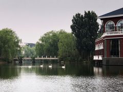 -银树楼(紫玉山庄东区店)