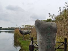 -溱湖国家湿地公园