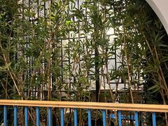 -野妹经典火锅(民治店)