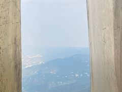 -大金鹰园