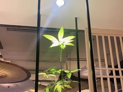 -格桑花开药膳蔬食文化空间
