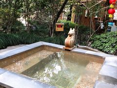 -张家港金凤凰度假村温泉