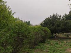 -永定河休闲森林公园