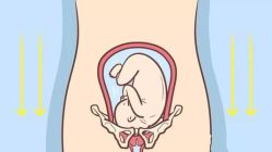 -芊尔美依产后修复中心(朝阳大悦城店)