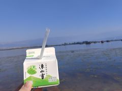 -西昌邛海湿地