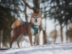 -钟山体育运动公园