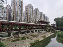 -温江公园
