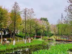 -映月湖公园