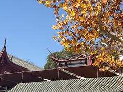 -楼外楼(西湖景区孤山路店)