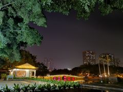 -荔湾湖公园