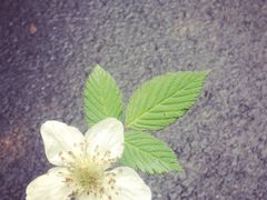 -南京金牛湖风景区