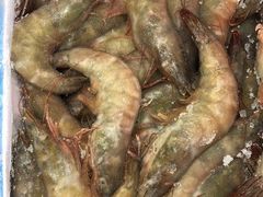 -大连熟食品交易中心