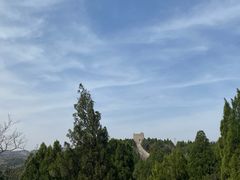 -原山国家森林公园