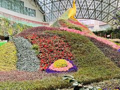 -花之城