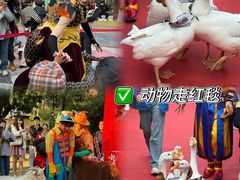 -灵玲国际马戏城