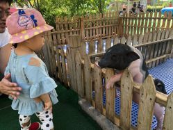 -萌宠亲子动物乐园(槐房万达店)