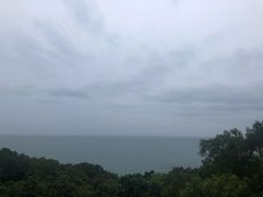 -广东惠东海龟国家级自然保护区